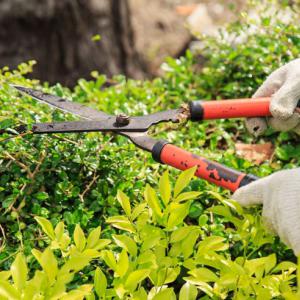 Slice It Landscaping Service - Commercial Grounds Maintenance: Tree Trimming, Shrub Pruning, Installation