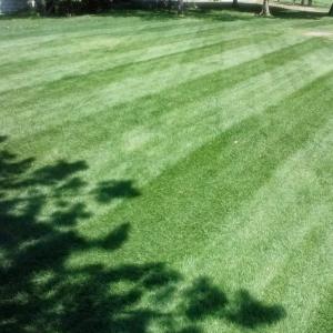 Slice It Landscaping Service - Commercial Grounds Maintenance: Landscape Maintenance, Spring & Fall Cleanup, Weekly Turf Services
