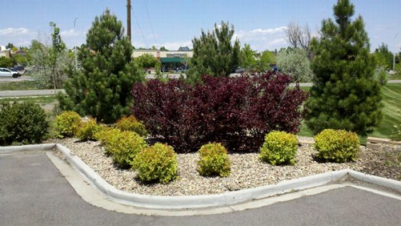 Slice It Landscaping Project main photo - Commercial Cleanup