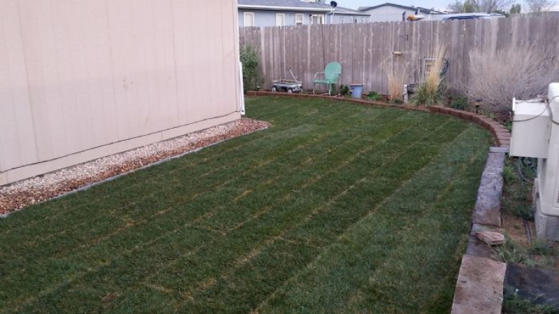 Slice It Landscaping Project photo 6 - Back yard sod and patio