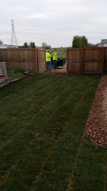 Slice It Landscaping Project photo 4 - Back yard sod and patio