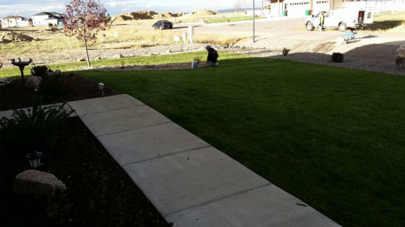 Slice It Landscaping Project photo 6 - Sod and Rock