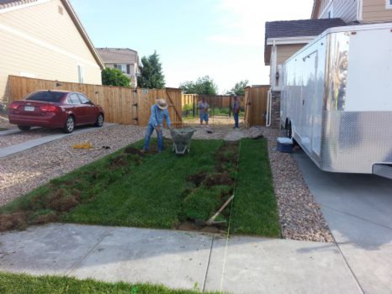 Slice It Landscaping Project photo 1 - New back yard