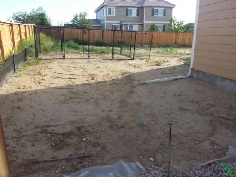 Slice It Landscaping Project photo 3 - New back yard
