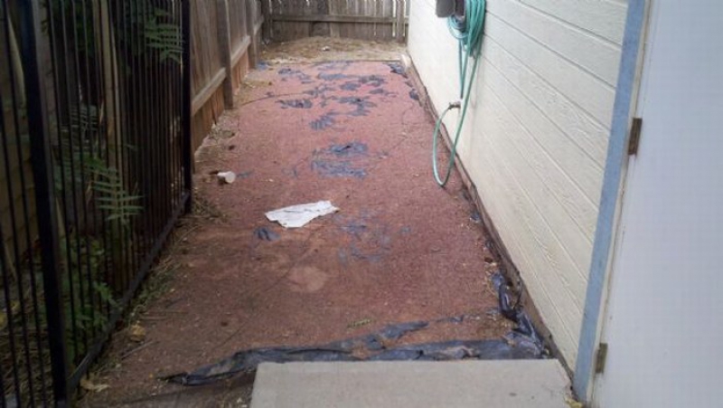 Slice It Landscaping Project photo 4 - Commercial Cleanup