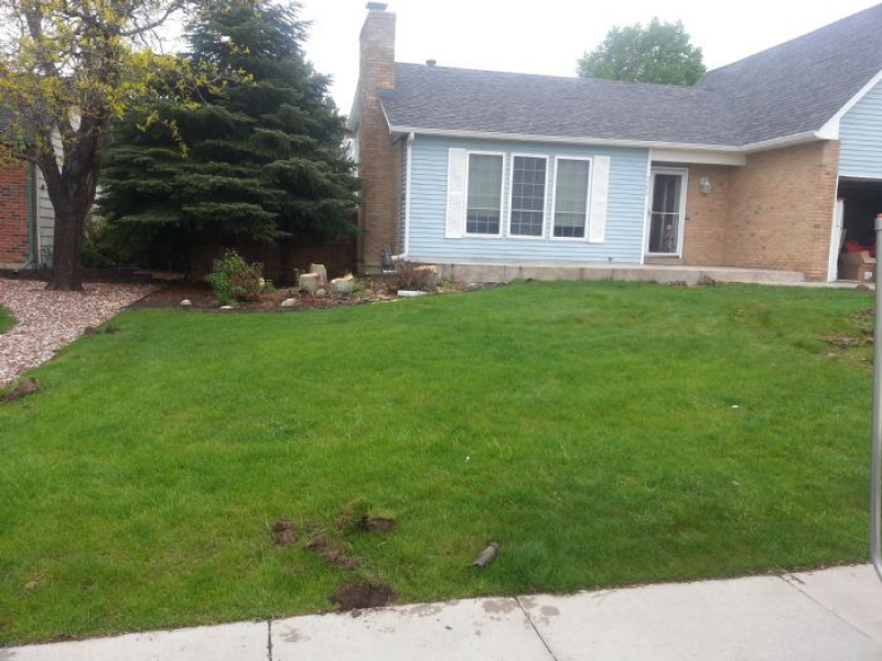 Slice It Landscaping Project photo 3 - Front yard redesign and update